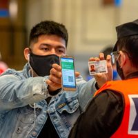 Paso a paso: cómo tramitar el nuevo permiso de circulación