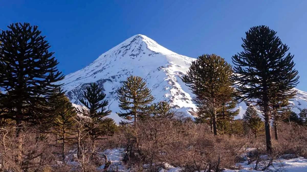 Volcán Lanín había sido declarado como sitio sagrado mapuche por Parques Nacionales. Fuente: (Twitter)