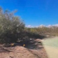 Ejecutan a tres niñas en Sonora; buscadoras encontraron los cuerpos baleados