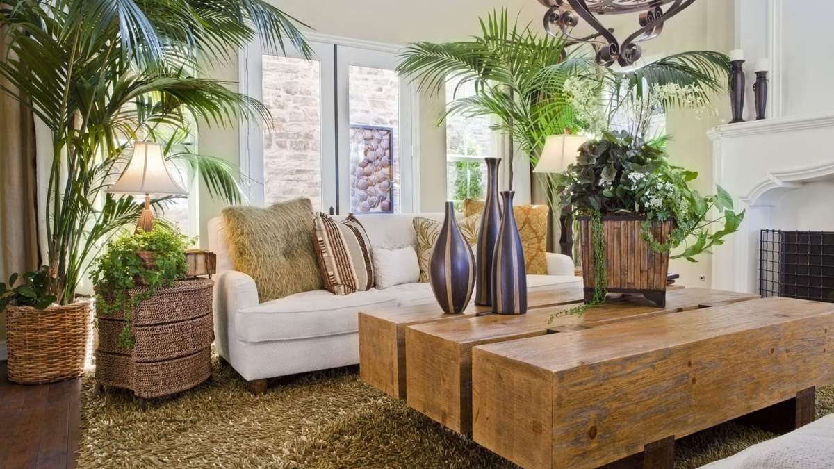 Plantas de interior. Fuente: (Especial)