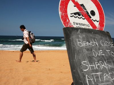 Terrible accidente en Sídney: un surfista muere tras un ataque de tiburón