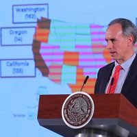 Pánico en México: se confirmaron 41 casos de coronavirus e iniciaría el camino a la fase 2