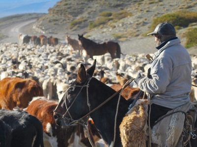 Buscan concientizar a los crianceros trashumantes