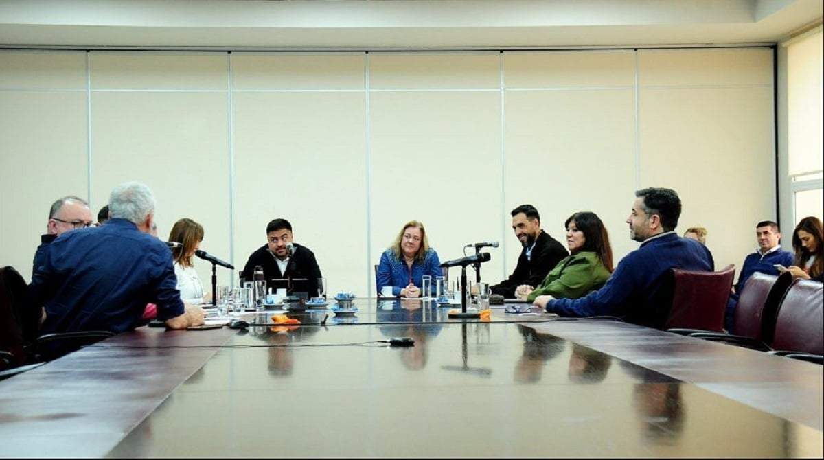 Proyecto para institucionalizar la Línea 148 y de Atención a varones. Fuente: (Legislatura Neuquén)