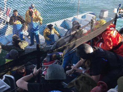 Pescadores exigen a AMLO el retiro de Sea Shephard tras muerte de pescador