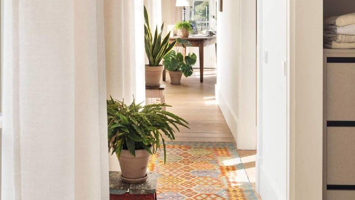 Plantas. Fuente: (El Mueble)