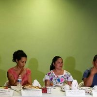 Ejidatarios yucatecos acusan que dos megaproyectos provocarían deforestación de 600 hectáreas de selva