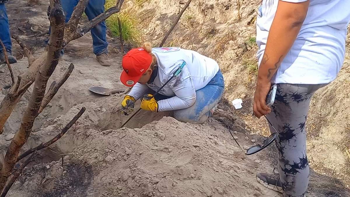 Colectivos exigen un parlamento abierto para analizar estrategia de Sheinbaum contra desapariciones