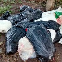 Hallan restos humanos embolsados en Omealca, Veracruz