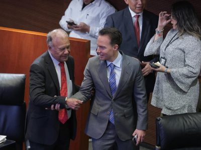 El PVEM sigue en desacuerdo con varios puntos de la reforma electoral