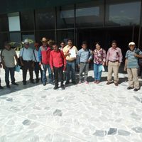 Indígenas de 12 municipios de Chiapas exigen frenar construcción de carretera San Cristóbal-Palenque