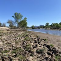 La Semarnat denuncia al Grupo México por no remediar el grave daño ambiental en el Río Sonora