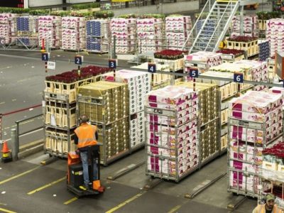 Con leve baja mensual, la actividad económica subió 5% interanual en mayo