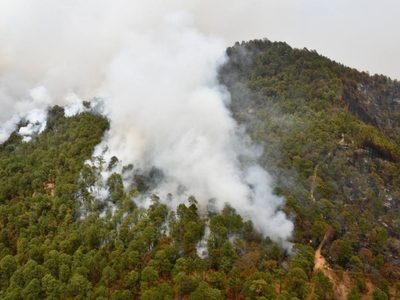 Incendio arrasa con parajes del Carrizal y Tilia de Tapalpa, Jalisco; 260 personas fueron evacuadas
