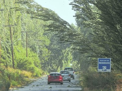 Atención Río Negro y Neuquén: advertencia por fuertes ráfagas