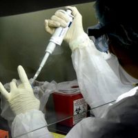 ¡Gran avance! En apenas 12 días Argentina aumentó un 160% la cantidad de test de coronavirus