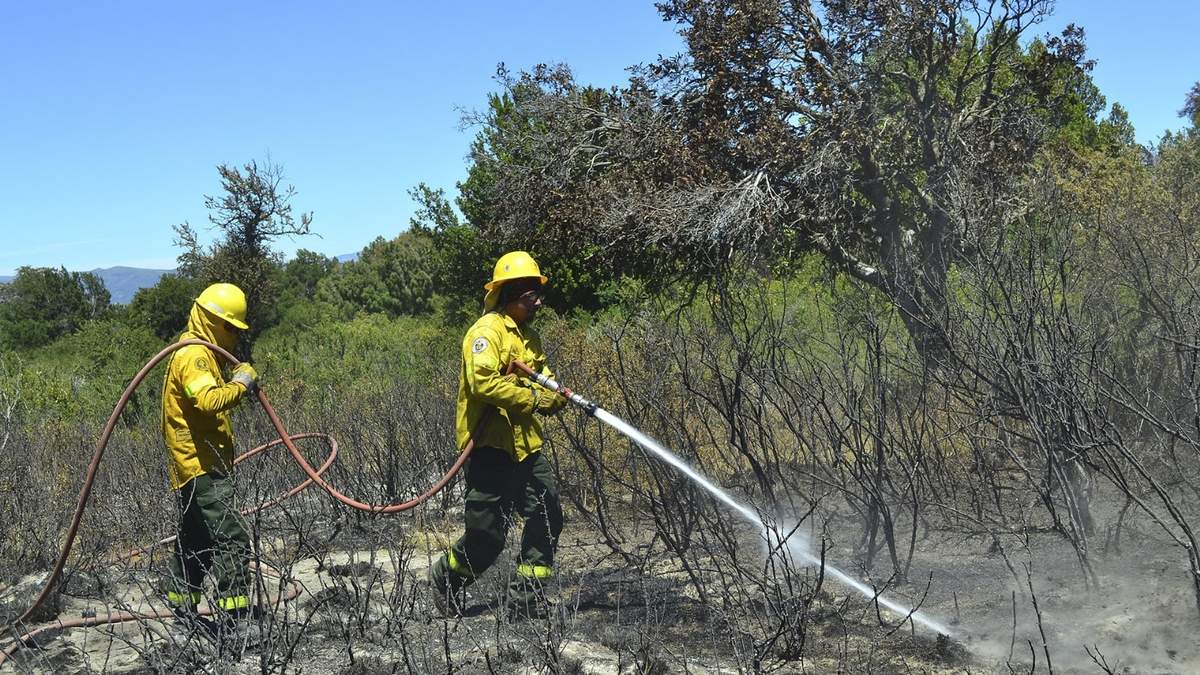 Los incendios afectan un área protegida. Fuente: (X)