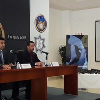 Detienen en Guanajuato a 16 presuntos miembros del CJNG relacionados a homicidios en la región