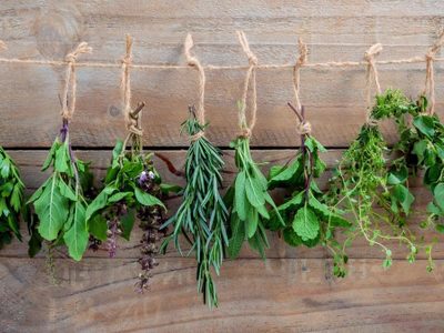 El poderoso ritual que podés realizar en casa con esta hierba aromática para atraer abundancia y buenas energías