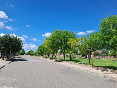 Coronel Belisle: el oasis del Valle Medio para refrescarse en plena Ruta 22