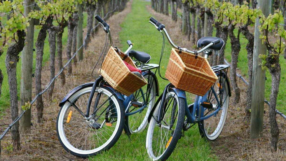 Crean un Bike Park. Fuente: (Instagram).