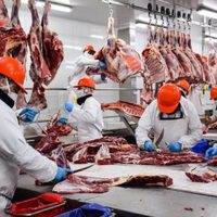 Después de 100 años, la Argentina alcanzó un récord en la exportación de carne vacuna