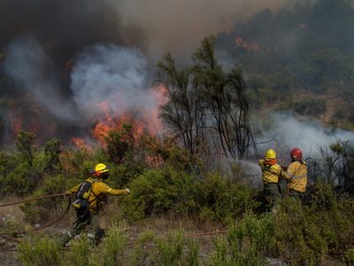 Río Negro: quieren evitar la especulación en las tierras incendiadas de la Comarca Andina