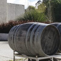 Encuentro de Bodegas de Argentina para fomentar ventas en Estados Unidos