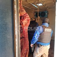 Picún Leufú: clausuraron un matadero clandestino y secuestraron 500 kilos de carne