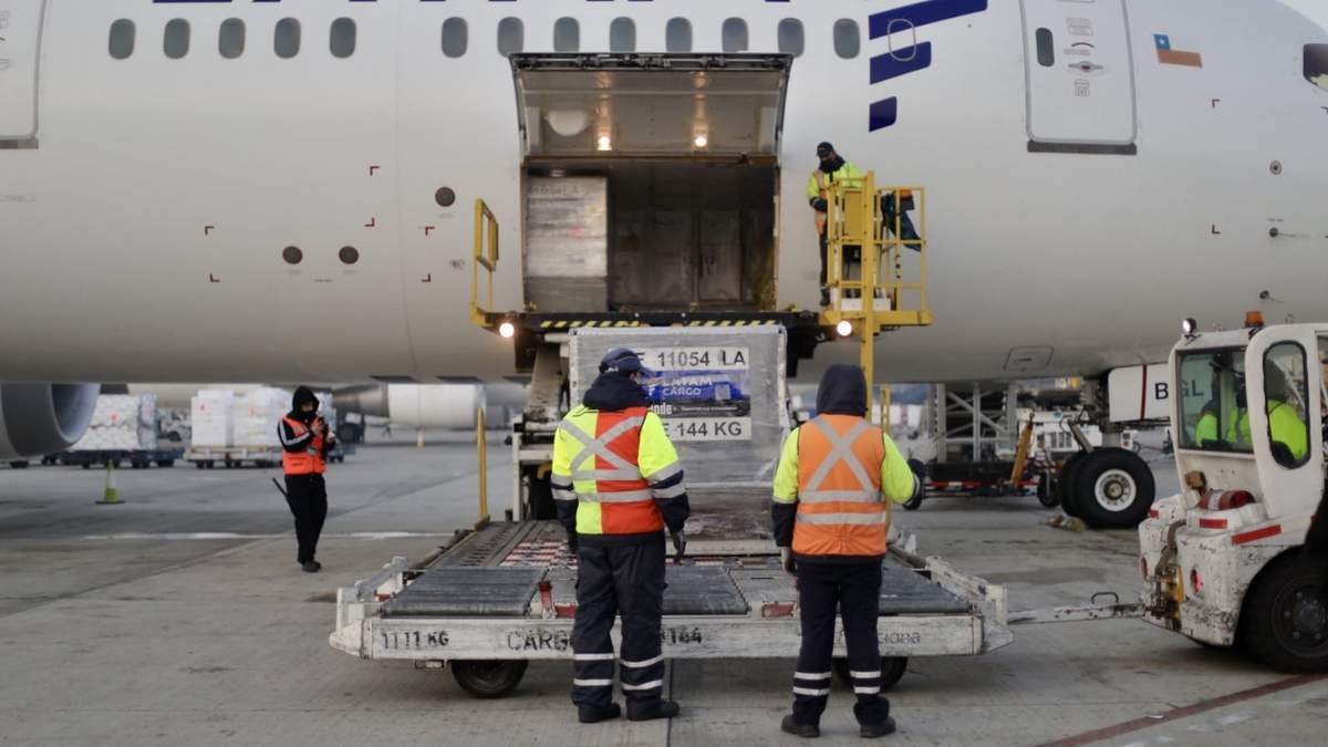 Las trajo un avión de Latam. Fuente: (Twitter)