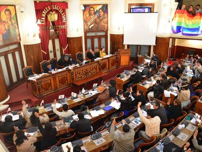 URGENTE: Cámara de Diputados de Bolivia aprueba una ley que extiende el mandato de Áñez