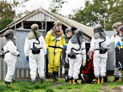 Ascienden a 214 las personas infectadas por la mutación del coronavirus en Dinamarca