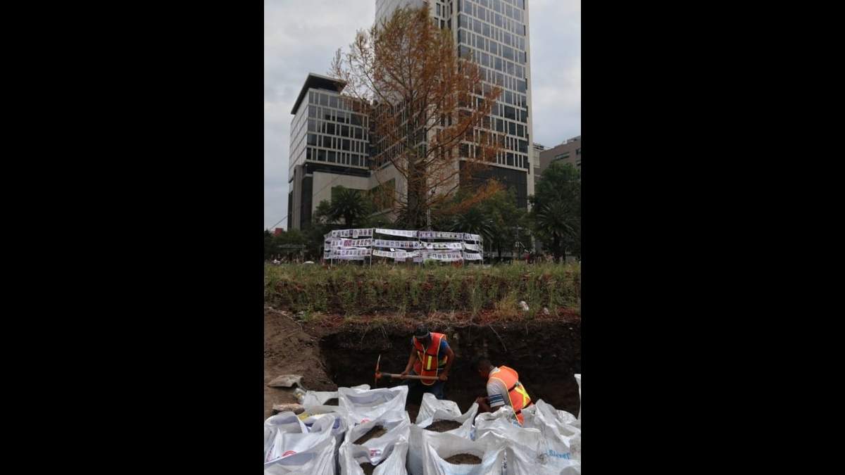 Elementos de rehabilitación de jardines y bosques trabajan en la zona del ahuehuete