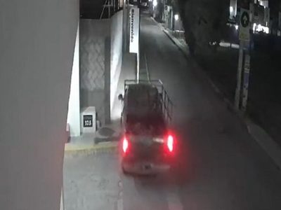Tres perros son arrollados intencionalmente con un auto (video)