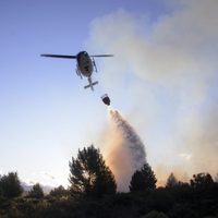 Incendios en la Patagonia: cuáles son los daños hasta el momento