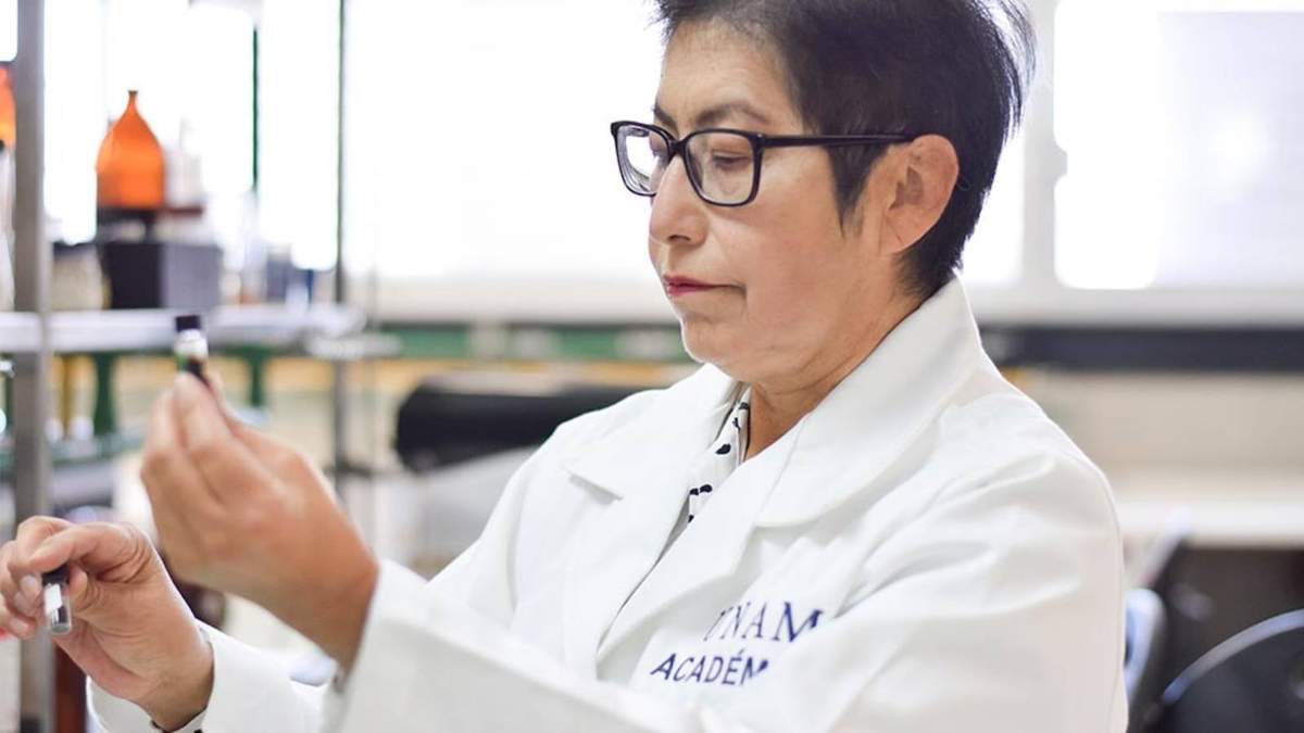 Yolanda Marina Vargas Rodríguez encabeza esta investigación