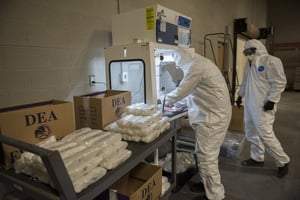 Agentes de la DEA confiscan un cargamento de cocaína