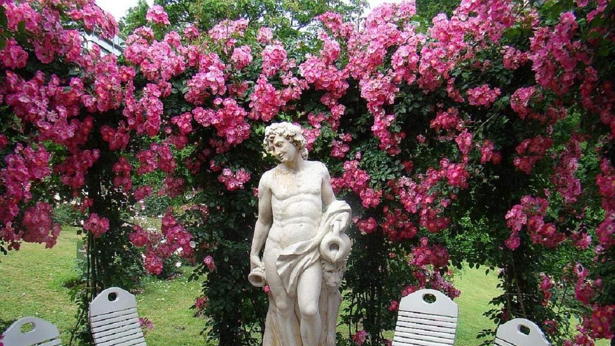 Cerco de rosas. Fuente: (X)