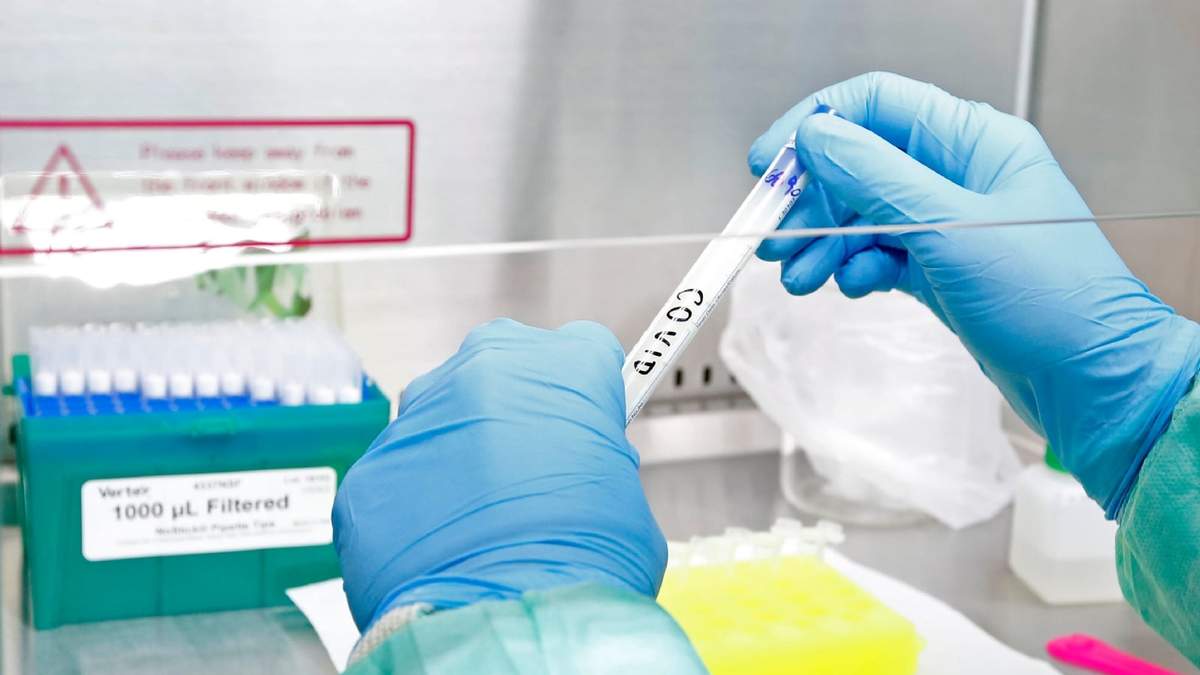 Test de coronavirus. Fuente: (Twitter)