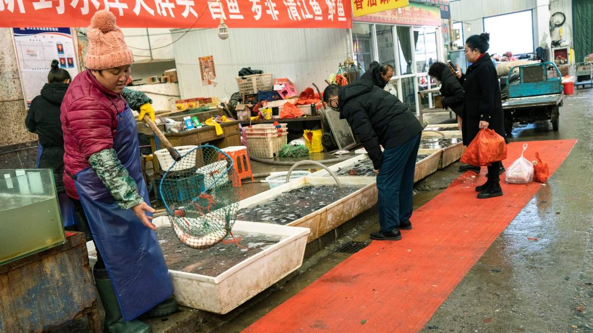 El virus habría surgido en un mercado de mariscos. Fuente: (Twitter)