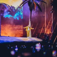 Canciones de Bad Bunny pierden popularidad en Spotify tras videos donde lanza celulares de sus fans