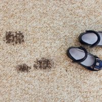 Te sorprenderá: la fórmula milagrosa para quitar las manchas de barro de tus alfombras en pocos minutos