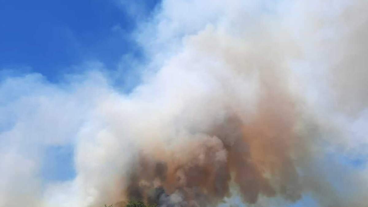 Incendio forestal en el lago Ruca Choroi. Fuente (Facebook).