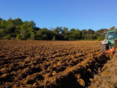 Tras los reclamos del campo, la provincia anunció cambios en el impuesto inmobiliario rural