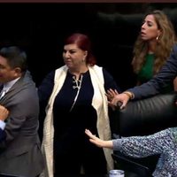 Senadora Mónica Fernández denuncia a Gustavo Madero ante FGR por violencia física