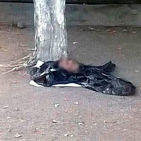 Hallan una cabeza humana debajo de un árbol en Michoacán
