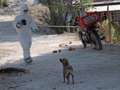 Más de 12 mil niños han sido asesinados en el sexenio de AMLO: Tejiendo Redes