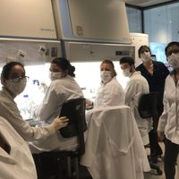 CONICET: avanza la creación de la vacuna argentina contra el coronavirus