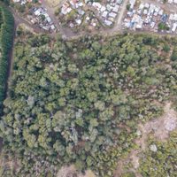 Villa La Angostura: crece la incertidumbre por la legalidad del loteo Quetrihue