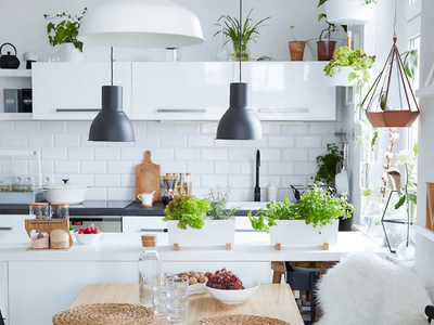 Si querés una planta colgante y fabulosa para el interior de tu hogar, estas son perfectas